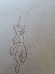 Size: 720x960 | Tagged: safe, artist:silentwolf-oficial, oc, oc only, alicorn, pony, alicorn oc, eyes closed, flying, grayscale, horn, lineart, monochrome, solo, traditional art, wings