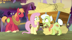 Size: 1920x1080 | Tagged: safe, screencap, big macintosh, fluttershy, granny smith, earth pony, pegasus, pony, g4, scare master, female, hay, male, mare, stallion