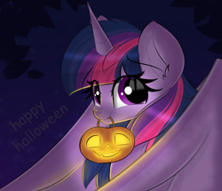 Size: 4391x3779 | Tagged: safe, artist:janelearts, twilight sparkle, alicorn, pony, g4, absurd resolution, cute, eye clipping through hair, female, halloween, holiday, jack-o-lantern, mare, mouth hold, pumpkin, pumpkin bucket, smiling at you, solo, twiabetes, twilight sparkle (alicorn)