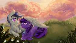 Size: 3840x2160 | Tagged: safe, artist:teawithsugaart, oc, oc only, oc:gamebrony, oc:kioshka, earth pony, pegasus, pony, high res, nature, sky, smiling