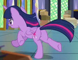 Size: 307x238 | Tagged: safe, screencap, twilight sparkle, alicorn, pony, g4, the last problem, box, butt, cropped, plot, running, solo, twibutt, twilight sparkle (alicorn), twilight's castle