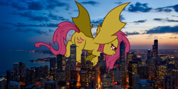 Size: 2200x1100 | Tagged: safe, artist:cloudy glow, artist:theotterpony, edit, vector edit, fluttershy, bat pony, pony, g4, bat ponified, butt, chicago, city, cutie mark, female, flutterbat, flying, giant pony, illinois, irl, macro, photo, plot, ponies in real life, race swap, solo, story in the source, story included, vector