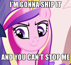 Size: 600x548 | Tagged: safe, edit, edited screencap, screencap, princess cadance, alicorn, pony, g4, games ponies play, caption, cropped, female, image macro, implied shipping, mare, meme, princess of shipping, raised eyebrow, smiling, smirk, smug, smugdance, solo, text, with great power comes great shipping