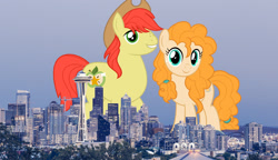 Size: 2600x1500 | Tagged: safe, artist:ganapathy kumar, artist:jhayarr23, artist:theotterpony, edit, vector edit, bright mac, pear butter, earth pony, pony, g4, city, cowboy hat, duo, female, freckles, giant earth pony, giant ponies in real life, giant pony, hat, highrise ponies, husband and wife, irl, macro, male, photo, ponies in real life, seattle, stetson, story in the source, story included, vector