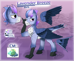 Size: 2853x2344 | Tagged: safe, artist:jesterpi, oc, oc:lavender breeze, bird, pegasus, pony, abstract background, chest fluff, cutie mark, disembodied head, high res, pegasus oc, phone, redesign, reference sheet, smiling, standing, talons, wings