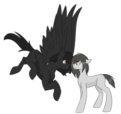 Size: 2528x2372 | Tagged: safe, artist:toptian, oc, oc only, earth pony, pegasus, pony, duo, earth pony oc, flying, high res, looking at each other, pegasus oc, simple background, white background, wings