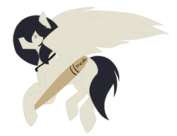 Size: 2201x1689 | Tagged: safe, artist:toptian, oc, oc only, pegasus, pony, baseball bat, hoof hold, jewelry, necklace, pegasus oc, solo, wings