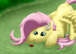Size: 3484x2488 | Tagged: safe, artist:thebenalpha, fluttershy, insect, ladybug, pegasus, pony, g4, grass, high res, smiling, solo, wings