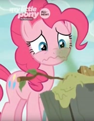 Size: 698x901 | Tagged: safe, screencap, pinkie pie, earth pony, pony, g4, she's all yak, disgusted, female, mare, visible stench, wavy mouth