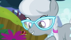 Size: 1280x720 | Tagged: safe, screencap, silver spoon, earth pony, insect, ladybug, pony, bloom & gloom, g4, female, filly