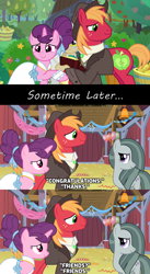 Size: 1280x2336 | Tagged: safe, anonymous artist, big macintosh, marble pie, sugar belle, g4, the big mac question, acceptance, aftermath, apple, apple tree, approval, barn, best wishes, better as friends, bittersweet, caption, clothes, congratulations, dress, epilogue, fanfic idea, female, food, friends, friendship, friendshipping, good end, happy, hat, headcanon, hope, husband and wife, i want my beloved to be happy, i wish you love, intertwined trees, just friends, looking at each other, lyrics in the description, male, marriage, married couple, moving on, party, pear, pear tree, ship sinking, ship:sugarmac, shipping, shirt, smiling, song reference, straight, suit, thanks, tree, vest, wedding, wedding dress, youtube link, youtube link in the description