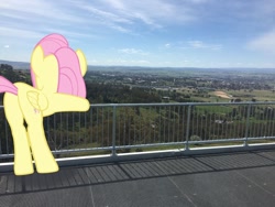 Size: 1280x960 | Tagged: safe, artist:didgereethebrony, fluttershy, pegasus, pony, g4, bathurst, butt, flutterbutt, irl, leaning on fence, lookout, mlp in australia, mount panorama, photo, plot, ponies in real life, solo