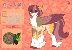 Size: 3500x2454 | Tagged: safe, artist:nobleclay, oc, oc only, oc:camo feather, pegasus, pony, colored wings, feathered fetlocks, male, multicolored wings, offspring, parent:pipsqueak, parent:scootaloo, parents:scootasqueak, reference sheet, solo, stallion, tail feathers, wings