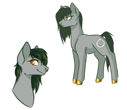 Size: 1806x1566 | Tagged: safe, artist:flaming-trash-can, oc, oc:antimony ouroboros, earth pony, pony, simple background, white background