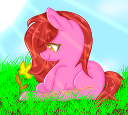 Size: 692x620 | Tagged: safe, artist:intan shiny, artist:velveagic silver, oc, oc only, oc:lunatia elsa, earth pony, pony, alone, art trade, blue background, brown eyes, calm, cute, female, flower, grass, happy, lightning, red hair, simple background, sky, smiling, solo