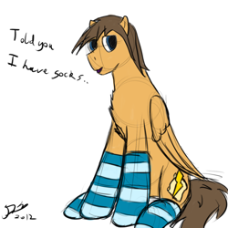 Size: 500x500 | Tagged: safe, artist:ask-firenze, oc, oc only, oc:firenze, pegasus, pony, clothes, male, simple background, socks, solo, stallion, striped socks, white background