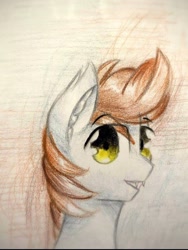 Size: 640x851 | Tagged: source needed, safe, artist:stardust0130, oc, oc only, oc:devin, bat pony, pony, bat pony oc, bust, male, portrait, solo, stallion, traditional art