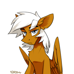 Size: 1088x1088 | Tagged: safe, artist:fantom, oc, oc only, oc:breezy brown, pegasus, pony, blue eyes, brown fur, male, serious, serious face, simple background, solo, spread wings, stallion, white background, white hair, wings