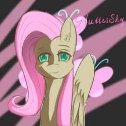 Size: 1063x1063 | Tagged: source needed, safe, artist:eric0999, fluttershy, pegasus, pony, g4, bust, cutie mark background, ear fluff, female, front view, full face view, looking at you, mare, name, portrait, solo, wings