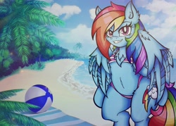 Size: 2048x1463 | Tagged: safe, artist:canvymamamoo, rainbow dash, pegasus, semi-anthro, g4, arm hooves, beach, beach ball, beach towel, belly button, blushing, breasts, cleavage fluff, clothes, cloud, ear fluff, female, looking at you, mare, palm tree, smiling, solo, swimsuit, tree