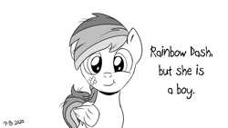 Size: 1200x675 | Tagged: safe, artist:pony-berserker, rainbow dash, pegasus, pony, pony-berserker's twitter sketches, g4, bandaid, black and white, grayscale, halftone, looking at you, monochrome, rainbow blitz, rule 63, simple background, solo, white background