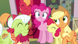 Size: 1280x720 | Tagged: safe, screencap, apple bloom, applejack, big macintosh, granny smith, pinkie pie, earth pony, pony, g4, pinkie apple pie, female, male, mare, stallion