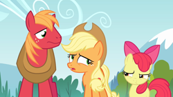 Size: 1280x720 | Tagged: safe, screencap, apple bloom, applejack, big macintosh, earth pony, pony, g4, pinkie apple pie, female, filly, male, mare, stallion