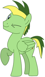 Size: 931x1586 | Tagged: safe, artist:didgereethebrony, artist:pegasski, oc, oc only, oc:didgeree, pegasus, pony, g4, base used, looking at you, one eye closed, simple background, solo, trace, transparent background, wink
