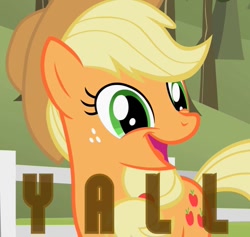 Size: 759x720 | Tagged: artist needed, source needed, safe, edit, applejack, earth pony, pony, g4, applejack's hat, cowboy hat, cute, female, flanderization, hat, jackabetes, mare, open mouth, smiling, solo, text, y'all