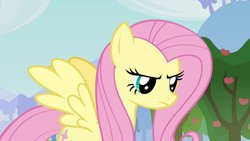 Size: 1280x720 | Tagged: safe, screencap, fluttershy, pegasus, pony, g4, keep calm and flutter on, female, mare, solo