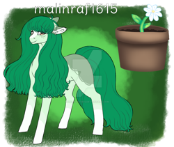 Size: 900x761 | Tagged: safe, artist:malinraf1615, wallflower blush, earth pony, pony, g4, deviantart watermark, equestria girls ponified, obtrusive watermark, ponified, simple background, solo, transparent background, watermark