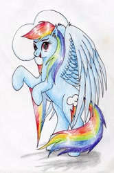 Size: 1915x2879 | Tagged: safe, artist:40kponyguy, derpibooru exclusive, rainbow dash, pegasus, pony, g4, bipedal, cutie mark background, ear fluff, female, looking at you, mare, rearing, simple background, solo, spread wings, traditional art, wings