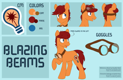 Size: 6900x4500 | Tagged: safe, artist:chub-wub, oc, oc only, oc:blazing beams, earth pony, pony, colors, commission, goggles, male, reference sheet, simple background, solo, transparent background