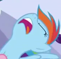 Size: 265x254 | Tagged: safe, screencap, rainbow dash, pegasus, pony, g4, season 3, wonderbolts academy, faic, female, mare, open mouth, out of context, rainbow dash is best facemaker, solo