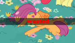 Size: 642x374 | Tagged: safe, screencap, scootaloo, pegasus, pony, g4, growing up is hard to do, faceplant, female, grand theft auto, mare, older, older scootaloo, wasted