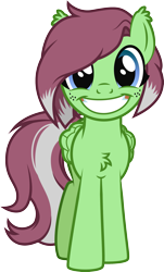 Size: 1303x2158 | Tagged: safe, artist:lightning stripe, derpibooru exclusive, oc, oc only, oc:watermelon success, pegasus, pony, g4, big grin, blue eyes, chest fluff, commission, cute, cutie mark, ear fluff, female, freckles, front view, grin, looking at you, mare, ocbetes, red mane, show accurate, simple background, smiling, solo, transparent background, two toned mane, two toned tail, vector, wide grin