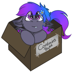 Size: 567x559 | Tagged: safe, alternate character, alternate version, artist:rokosmith26, part of a set, oc, oc only, oc:grey, bat pony, pony, bat pony oc, bat wings, box, cheek fluff, chibi, commission, cute, ear fluff, eye clipping through hair, floppy ears, flower, flower in hair, looking at you, male, pink eyes, pony in a box, puppy dog eyes, roko's box ponies, simple background, smiling, solo, stallion, tail, teeth, text, tooth, transparent background, wings, ych result