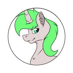 Size: 512x512 | Tagged: safe, artist:chazmazda, oc, pony, bust, bust shot, commission, commissions open, flat colors, fluffy, green eyes, green hair, photo, portrait, shiny eyes, simple background, solo, transparent, transparent background