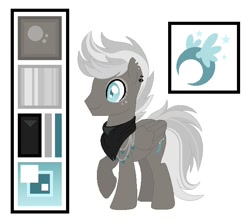 Size: 632x564 | Tagged: safe, oc, oc only, pegasus, pony, ear piercing, earring, jewelry, male, neckerchief, pegasus oc, piercing, raised hoof, reference sheet, solo, stallion, wings