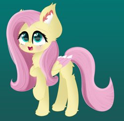 Size: 5656x5552 | Tagged: safe, artist:windykirin, fluttershy, pegasus, pony, g4, absurd resolution, blushing, cheek fluff, chest fluff, colored wings, cute, ear fluff, female, leg fluff, multicolored wings, open mouth, shyabetes, simple background, solo, wings