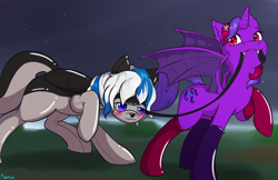 Size: 1224x792 | Tagged: safe, artist:edgarkingmaker, oc, oc:lady lightning strike, oc:violet rose ze vampony, alicorn, bat pony, bat pony alicorn, pegasus, pony, bat wings, clothes, female, horn, latex, latex suit, leash, mouth hold, night, pet play, socks, submissive, wings