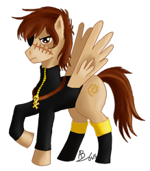 Size: 526x600 | Tagged: artist needed, safe, pegasus, pony, captain harlock, ponified, simple background, solo, transparent background