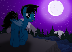 Size: 9054x6600 | Tagged: safe, artist:agkandphotomaker2000, oc, oc:pony video maker, bat pony, pony, bat wings, butt, cliff, dock, fangs, forest, looking at you, moon, mountain, plot, show accurate, species swap, stars, wings