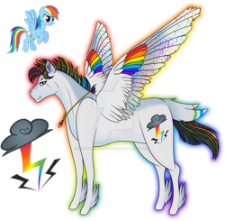 Size: 1920x1885 | Tagged: safe, artist:anx-the-emo-avenger, rainbow dash, pegasus, pony, g4, colored wings, deviantart watermark, feathered fetlocks, female, jewelry, mare, multicolored wings, necklace, obtrusive watermark, outline, quarter horse, rainbow wings, redesign, simple background, solo, transparent background, watermark, wings