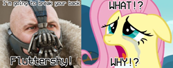 Size: 3846x1528 | Tagged: safe, edit, edited screencap, screencap, fluttershy, g4, hurricane fluttershy, abuse, bane, batman, crossover, crying, flutterbuse, mad max