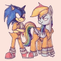 Size: 640x640 | Tagged: safe, artist:pyatka-the-best, rainbow dash, g4, bound wings, chained, clothes, cuffs, male, prison outfit, prisoner rd, sonic the hedgehog, sonic the hedgehog (series), sonic vs rainbow dash, wings