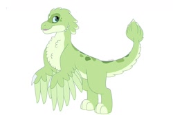 Size: 1280x854 | Tagged: safe, artist:itstechtock, oc, oc only, oc:grace, dragon, dragriff, griffon, hybrid, female, interspecies offspring, offspring, parent:gabby, parent:spike, parents:spabby, simple background, solo, white background