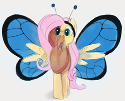 Size: 877x711 | Tagged: safe, artist:dotkwa, fluttershy, butterfly, pegasus, pony, g4, antennae, bag, butterfly wings, candy, candy bag, clothes, costume, cute, female, flutterfly, food, halloween, halloween costume, looking at you, mare, mouth hold, shyabetes, solo, wings