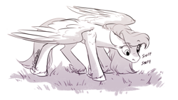 Size: 819x463 | Tagged: safe, artist:cosmalumi, pegasus, pony, grass, herbivore, horses doing horse things, monochrome, simple background, sketch, sniffing, solo, white background, wings