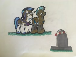 Size: 4032x3024 | Tagged: safe, artist:magicnova, derpibooru exclusive, shining armor, pony, unicorn, g4, armor, flower, gravestone, male, remembrance day, royal guard, royal guard armor, stallion, traditional art